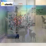 Folie One Way Vision Geamuri Craiova - imagine 2